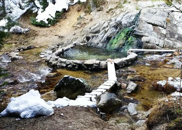Trail Creek Hot Springs remote soaking pools in forested backcountry near Yellow Pine Idaho