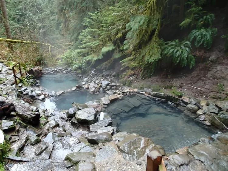 Terraced soaking pools at Terwilliger Cougar Hot Springs surrounded by old-growth forest in Oregon Cascades